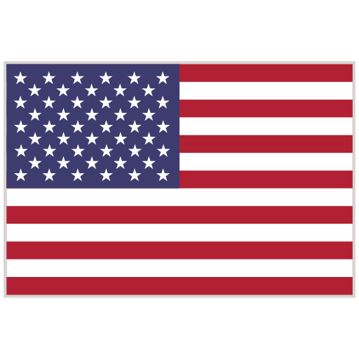 English (USA)